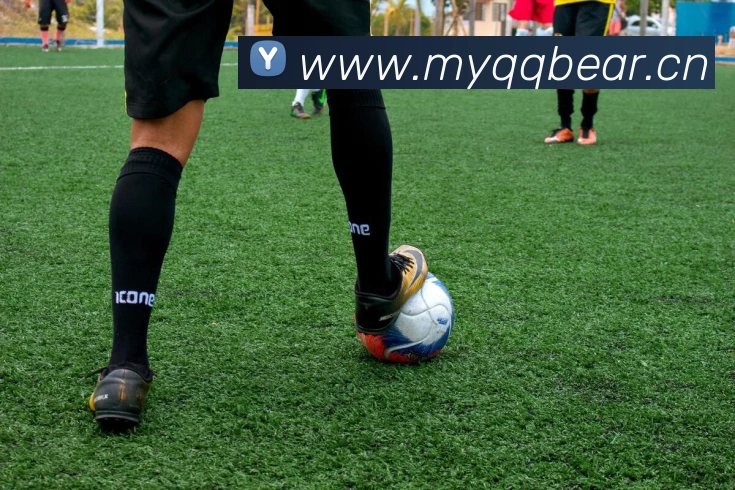 星空体育综合体育入口发展历程