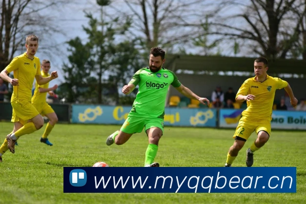 奥运会奖牌排行榜最新动态:中国队夺金亮点全解析